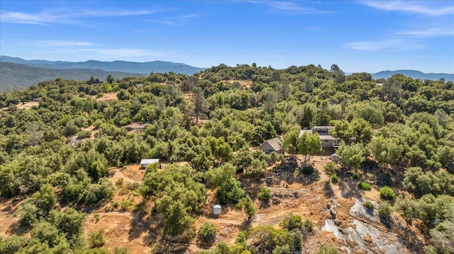 46281 Eastwood Dr S, Oakhurst, CA 93644 - photo 7