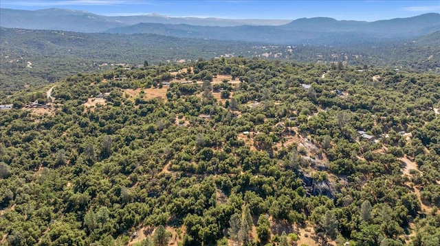 46281 Eastwood Dr S, Oakhurst, CA 93644 - photo 71