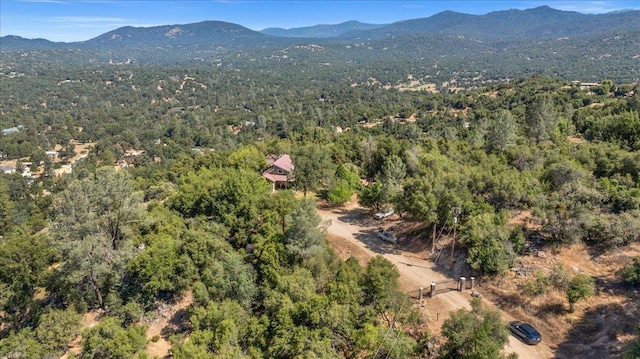 46281 Eastwood Dr S, Oakhurst, CA 93644 - photo 75