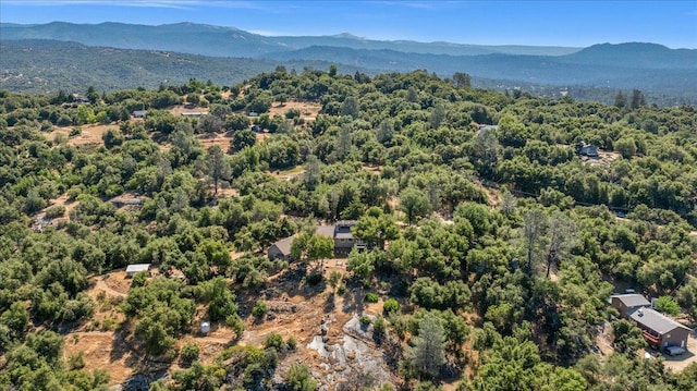 46281 Eastwood Dr S, Oakhurst, CA 93644 - photo 78
