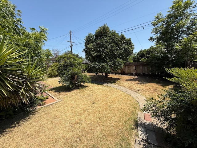2314 E Cornell Ave, Fresno, CA 93703 - view of fenced backyard