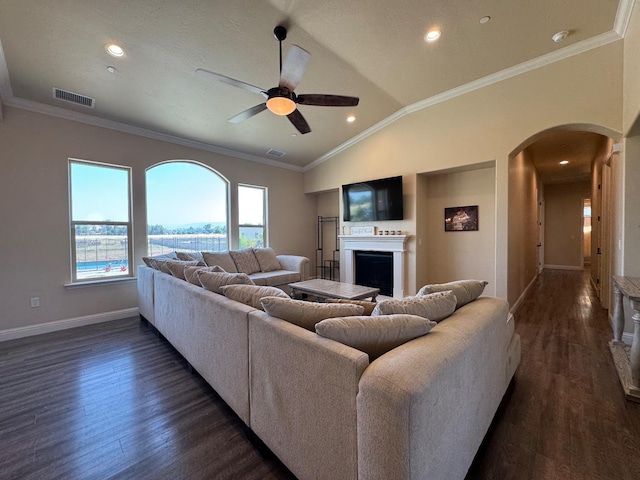 13390 E Falcon Mdw, Clovis, CA 93619 - living area with arched walkways, a fireplace, ceiling fan, dark wood-style floors, and vaulted ceiling