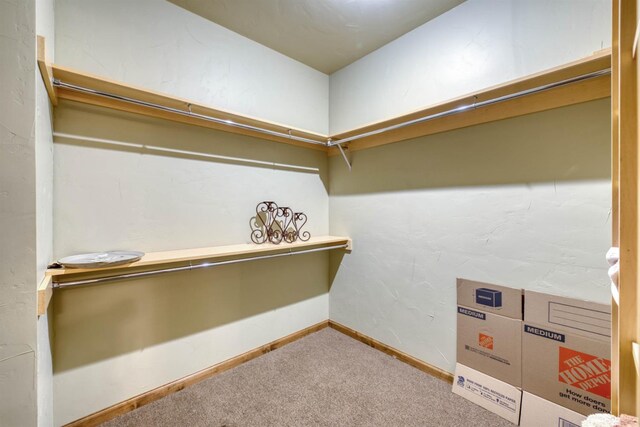 39516 Littleridge Rd, Shaver Lake, CA 93664 - spacious closet with carpet flooring