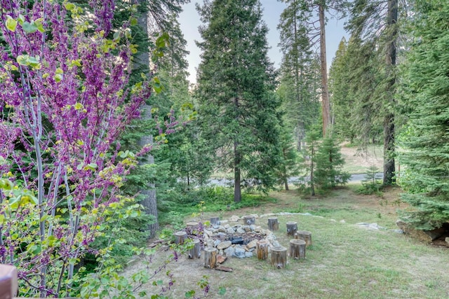 39516 Littleridge Rd, Shaver Lake, CA 93664 - view of yard featuring a fire pit