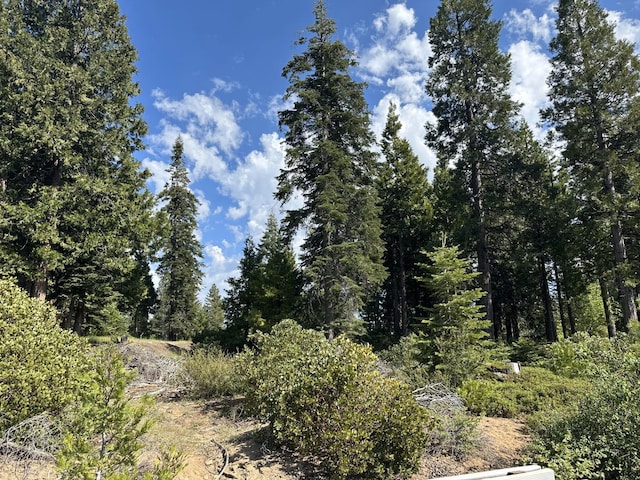 42307 Cook Cabin Ln, Shaver Lake, CA 93664