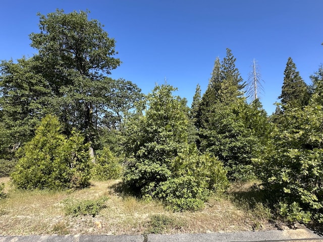 42346 Cook Cabin Ln, Shaver Lake, CA 93664 - photo 4