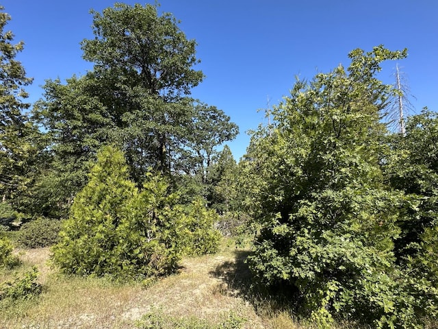 42346 Cook Cabin Ln, Shaver Lake, CA 93664 - photo 2