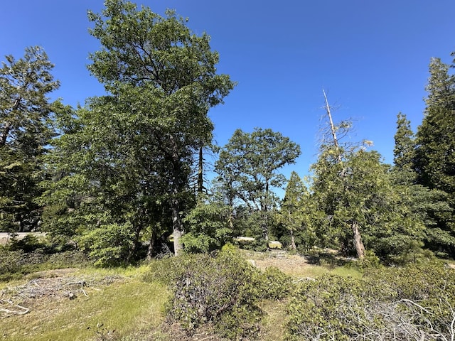 42346 Cook Cabin Ln, Shaver Lake, CA 93664 - photo 3