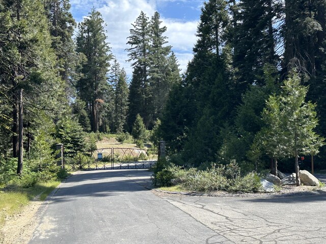 42346 Cook Cabin Ln, Shaver Lake, CA 93664 - photo 5