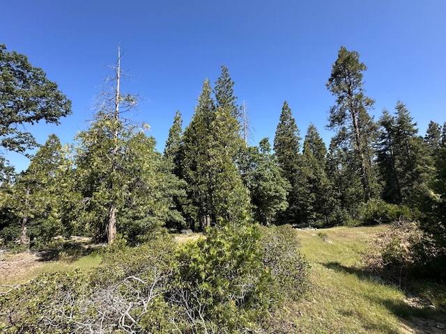42346 Cook Cabin Ln, Shaver Lake, CA 93664 - photo 1