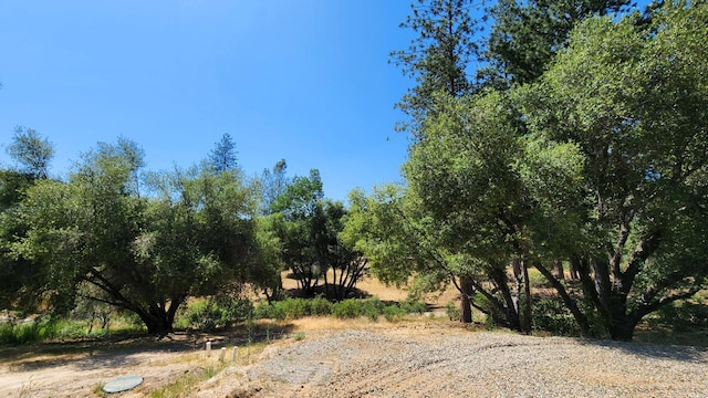 55062 Oak Crest Ct, Wishon, CA 93669 - view of nature