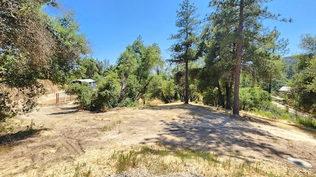 55062 Oak Crest Ct, Wishon, CA 93669 - view of yard