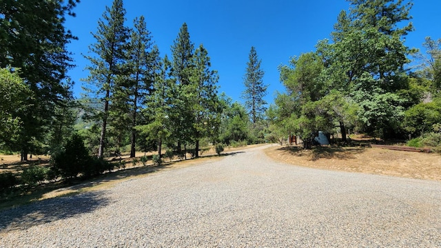 55062 Oak Crest Ct, Wishon, CA 93669 - view of dirt / gravel road