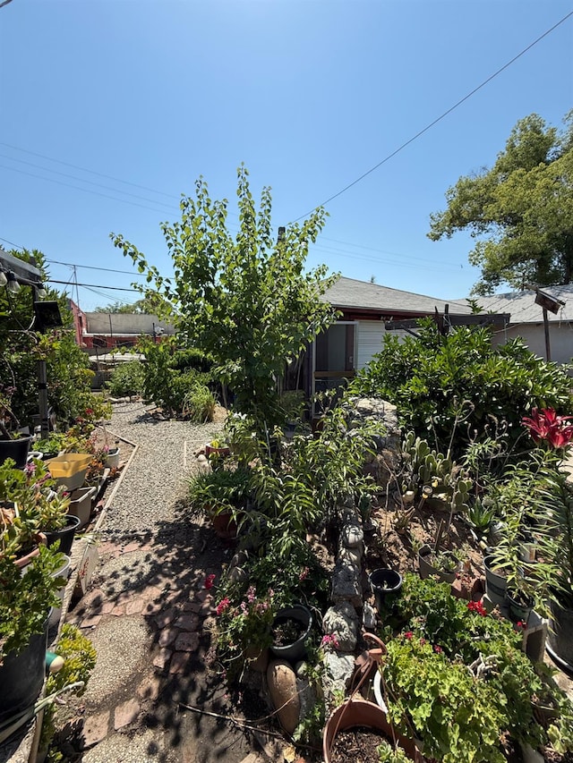 1584 N Carruth Ave, Fresno, CA 93728 - view of yard
