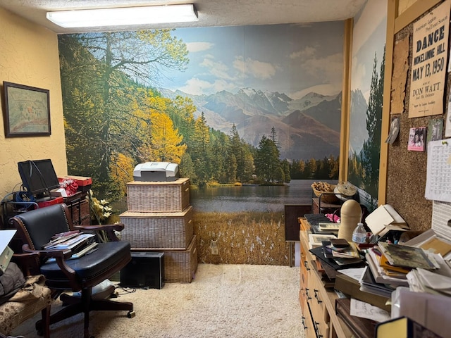 32101 E Trimmer Springs Rd, Sanger, CA 93657 - home office featuring carpet floors, a view of trees, a textured wall, and a water and mountain view