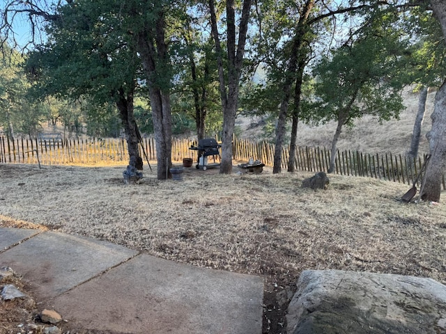 32101 E Trimmer Springs Rd, Sanger, CA 93657 - view of yard