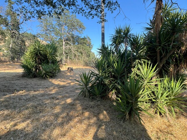32101 E Trimmer Springs Rd, Sanger, CA 93657 - view of yard
