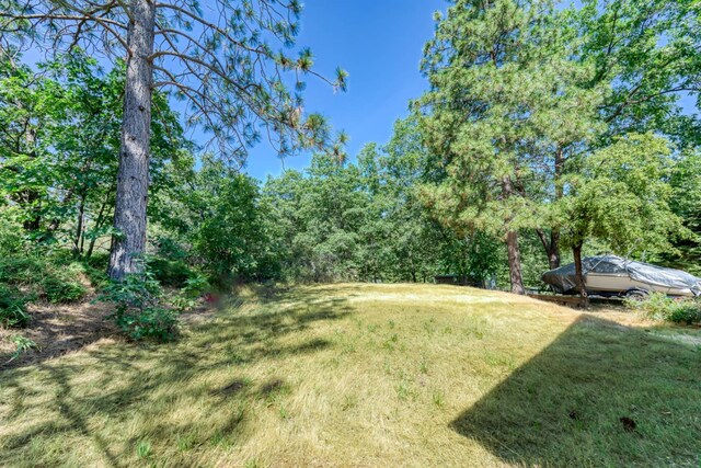 33855 Shaver Springs Rd, Auberry, CA 93602 - photo 35