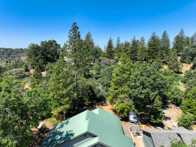 33855 Shaver Springs Rd, Auberry, CA 93602 - photo 40