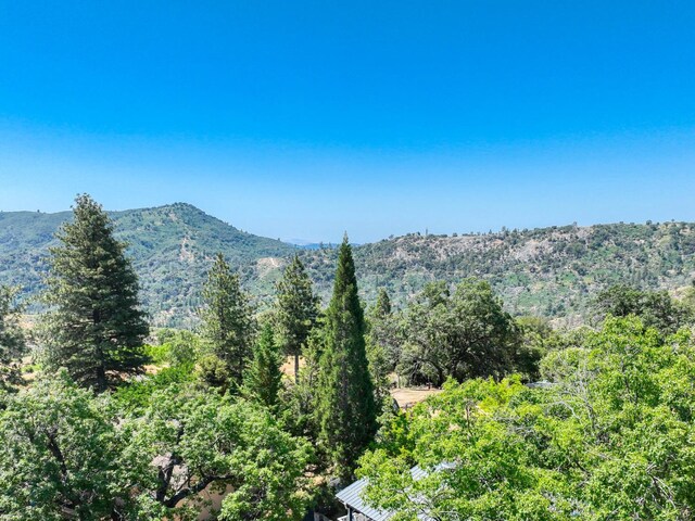33855 Shaver Springs Rd, Auberry, CA 93602 - photo 41
