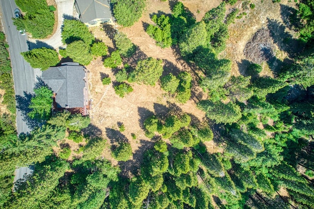 40753 Wild Iris Ln, Shaver Lake, CA 93664 - view from above of property