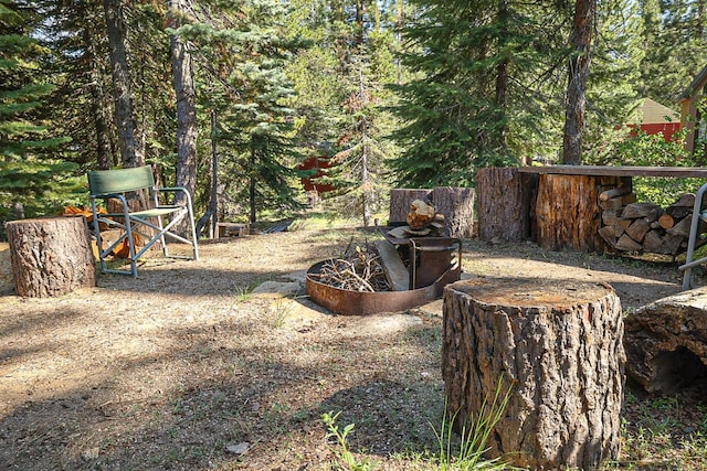58540 Redtop Rd, Bass Lake, CA 93604 - photo 8