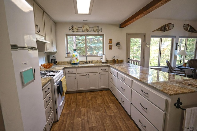 58540 Redtop Rd, Bass Lake, CA 93604 - photo 17