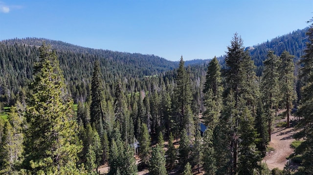 58540 Redtop Rd, Bass Lake, CA 93604 - photo 27
