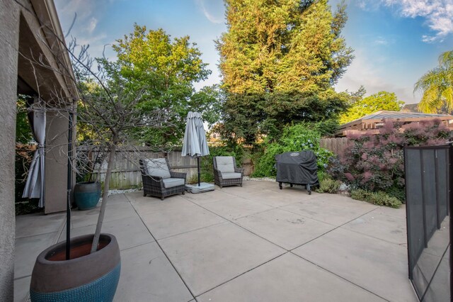 10485 N Sinclair Cir, Fresno, CA 93730 - fenced backyard featuring a patio area and a grill