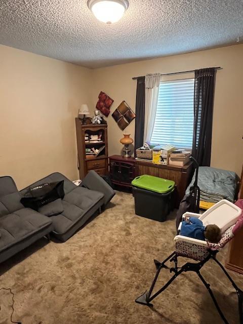 1173 Menlo Ave, Clovis, CA 93612 - sitting room with a textured ceiling and carpet