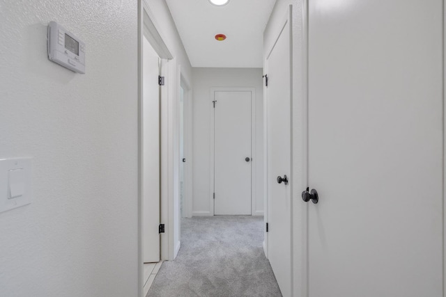 955 W San Gabriel Ave, Clovis, CA 93612 - corridor featuring light carpet and baseboards