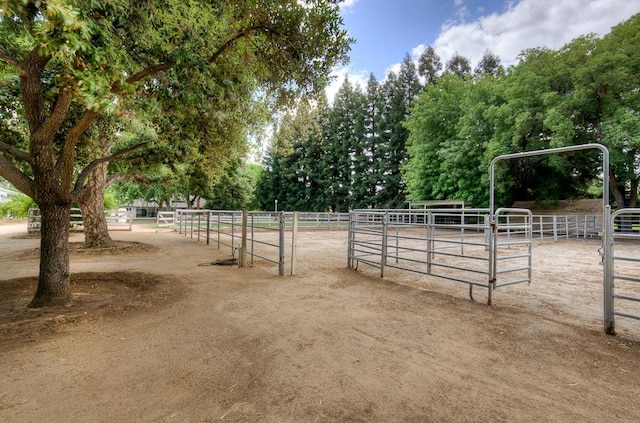 6303 N Montana Ave, Clovis, CA 93619 - photo 18