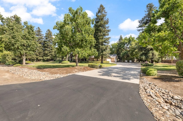 8741 E Los Altos Ave, Clovis, CA 93619 - view of concrete driveway featuring view of scattered trees