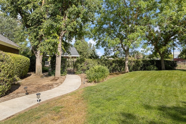 8741 E Los Altos Ave, Clovis, CA 93619 - view of yard