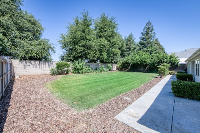 770 N Cherry Ln, Clovis, CA 93611 - view of yard