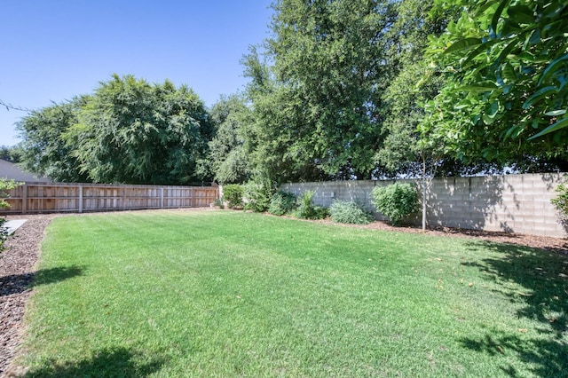 770 N Cherry Ln, Clovis, CA 93611 - view of yard