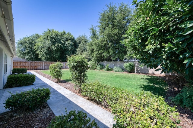 770 N Cherry Ln, Clovis, CA 93611 - view of yard with a patio