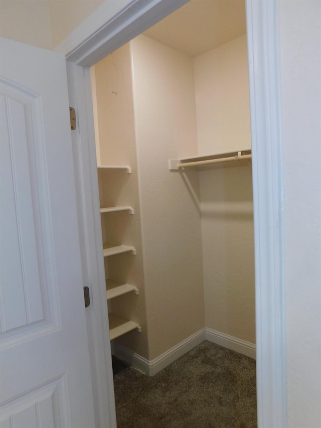 5875 E Pitt Ave, Fresno, CA 93727 - walk in closet featuring dark carpet