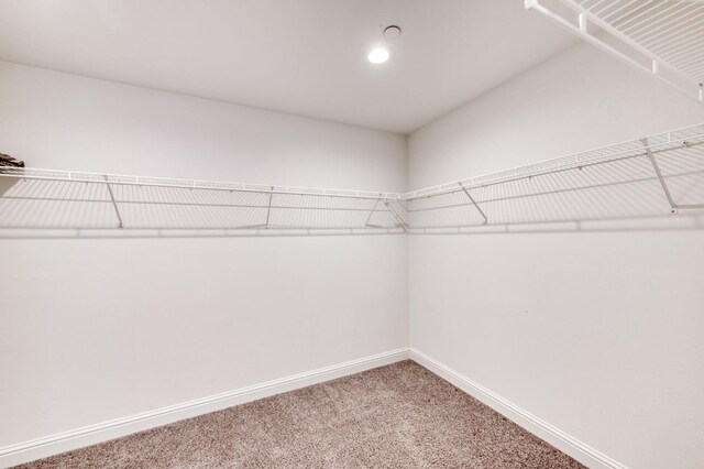 3923 Morris Ave, Clovis, CA 93619 - spacious closet with carpet flooring