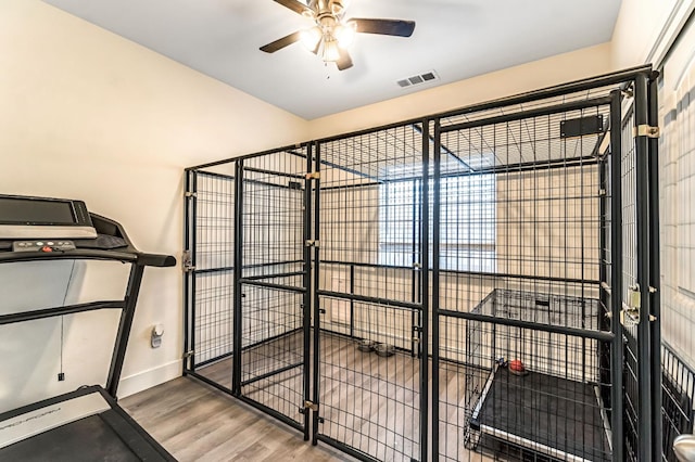 22375 Fairmead Cir, Chowchilla, CA 93610 - storage with ceiling fan