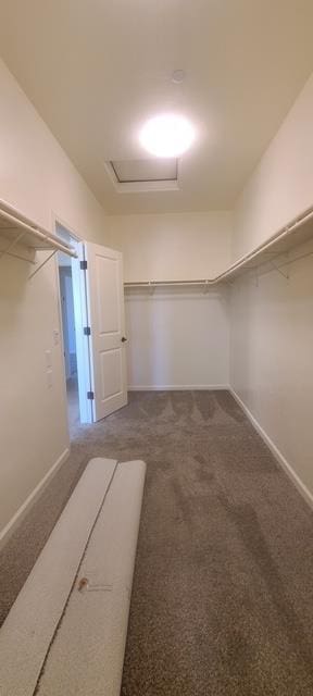 2267 Muscat Pl, Hanford, CA 93230 - photo 23