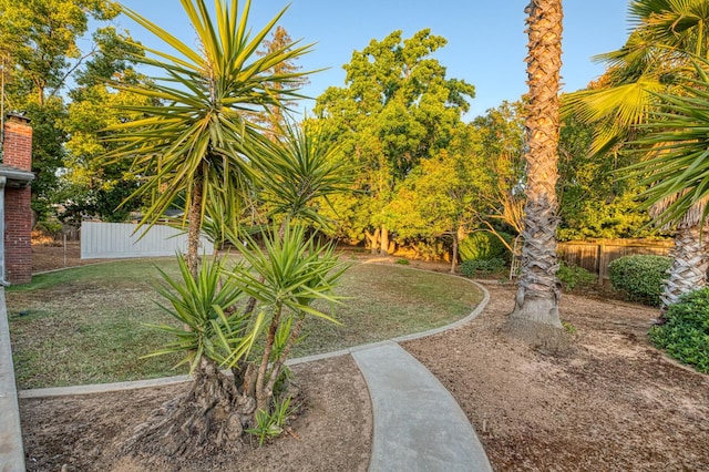 6482 N 5th St, Fresno, CA 93710 - view of yard