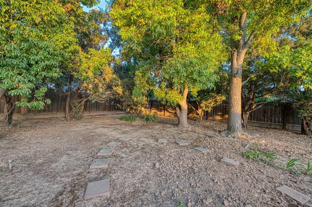 6482 N 5th St, Fresno, CA 93710 - view of fenced backyard
