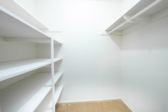 6482 N 5th St, Fresno, CA 93710 - walk in closet featuring carpet flooring