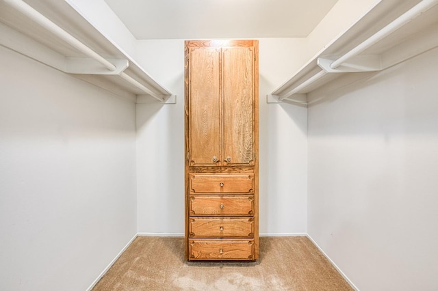 6482 N 5th St, Fresno, CA 93710 - spacious closet with light carpet