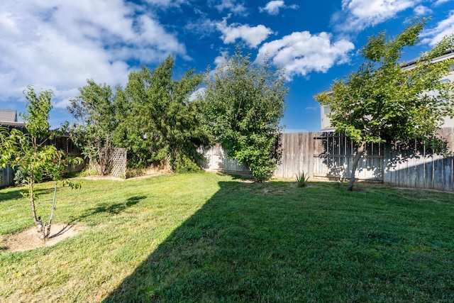 1085 Stanford Ave, Madera, CA 93637 - photo 37