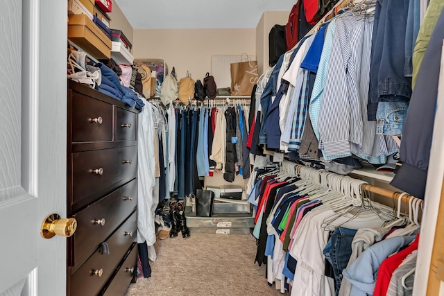 1085 Stanford Ave, Madera, CA 93637 - spacious closet with carpet