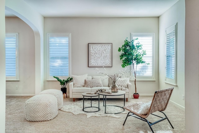 3202 Everglade Ave, Clovis, CA 93619 - living room with carpet flooring and arched walkways