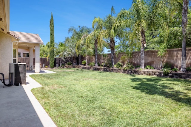 2549 Whiteash Ave, Clovis, CA 93619 - fenced backyard featuring a patio area