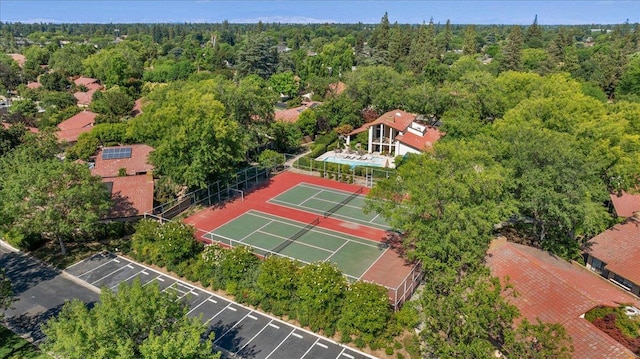 5532 N El Adobe Dr, Fresno, CA 93711 - drone / aerial view of a forest